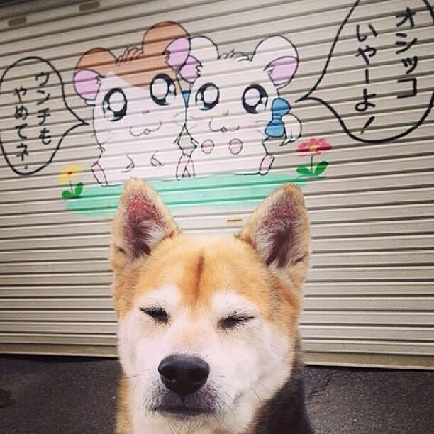 开云体育APP下载-极速引擎与热血篮筐，当F1揭幕战遇上广厦掀翻鹈鹕之夜